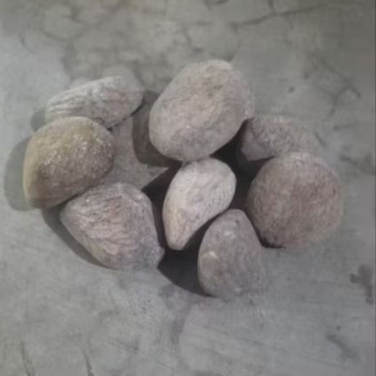 

Kluwek/picung/kepayang 1 kg