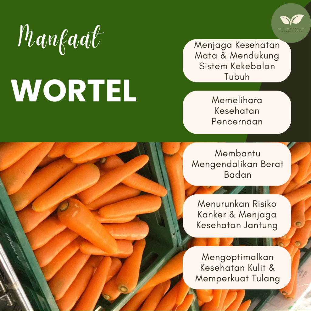

Wortel Segar Siap Masak kemasan 200g /Langsung Dari Petani/ Sangat Baik Untuk Kesehatan