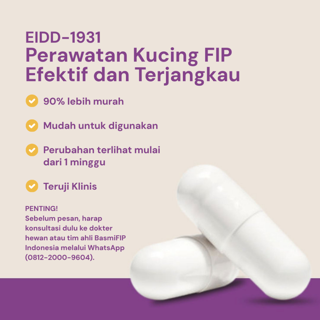 EIDD 1931/Perawatan Kucing FIP/Molnupiravir Kucing/60 Kapsul