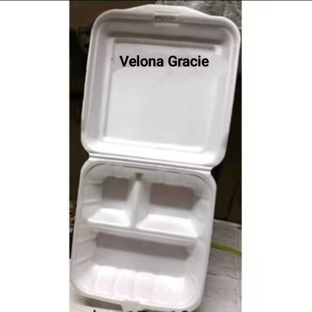 Gabus TF3 Sekat isi 100 pcs Kotak Makan Styrofoam Nasi