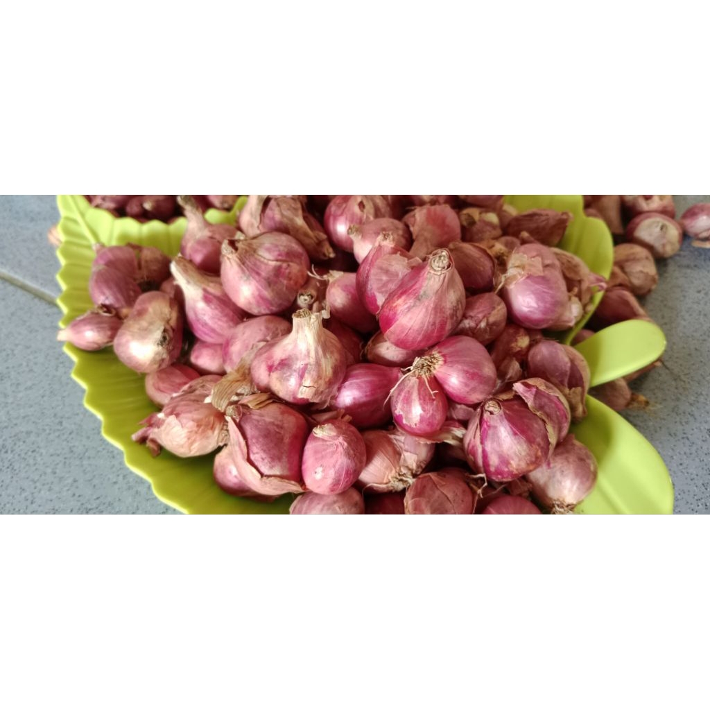 

bawang merah tanggung besar 1kg