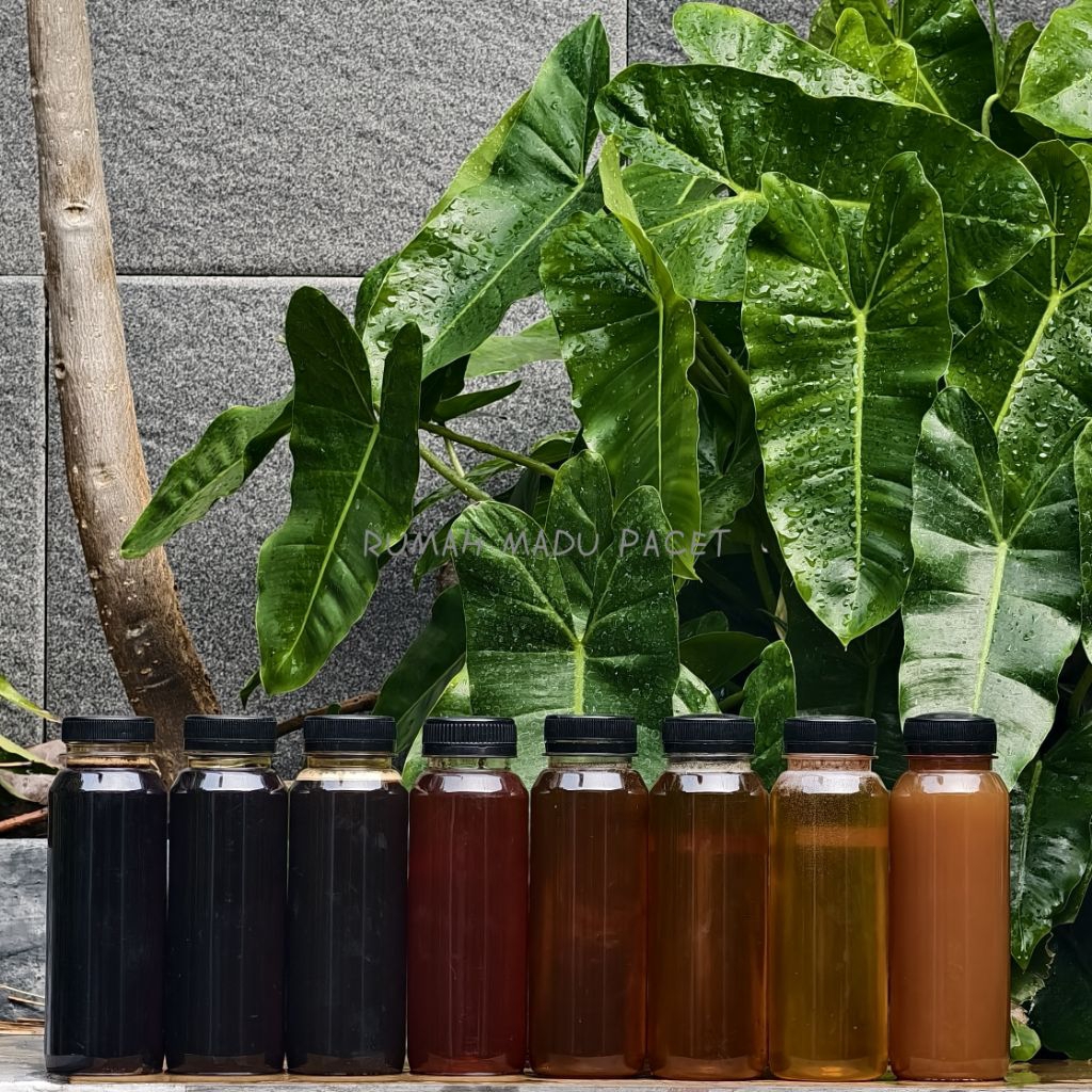 

Madu Murni Asli 100% Nektar 350 Gram | Multiflora Kaliandra Randu Akasia Karet Mangga Klanceng