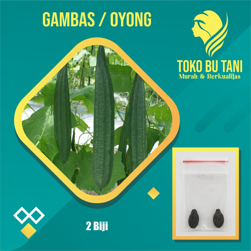 BTN Bibit Oyong Gambas Benih Oyong Sayuran Rambat Gambas Unggul Benih Bibit Sayuran Berkualitas