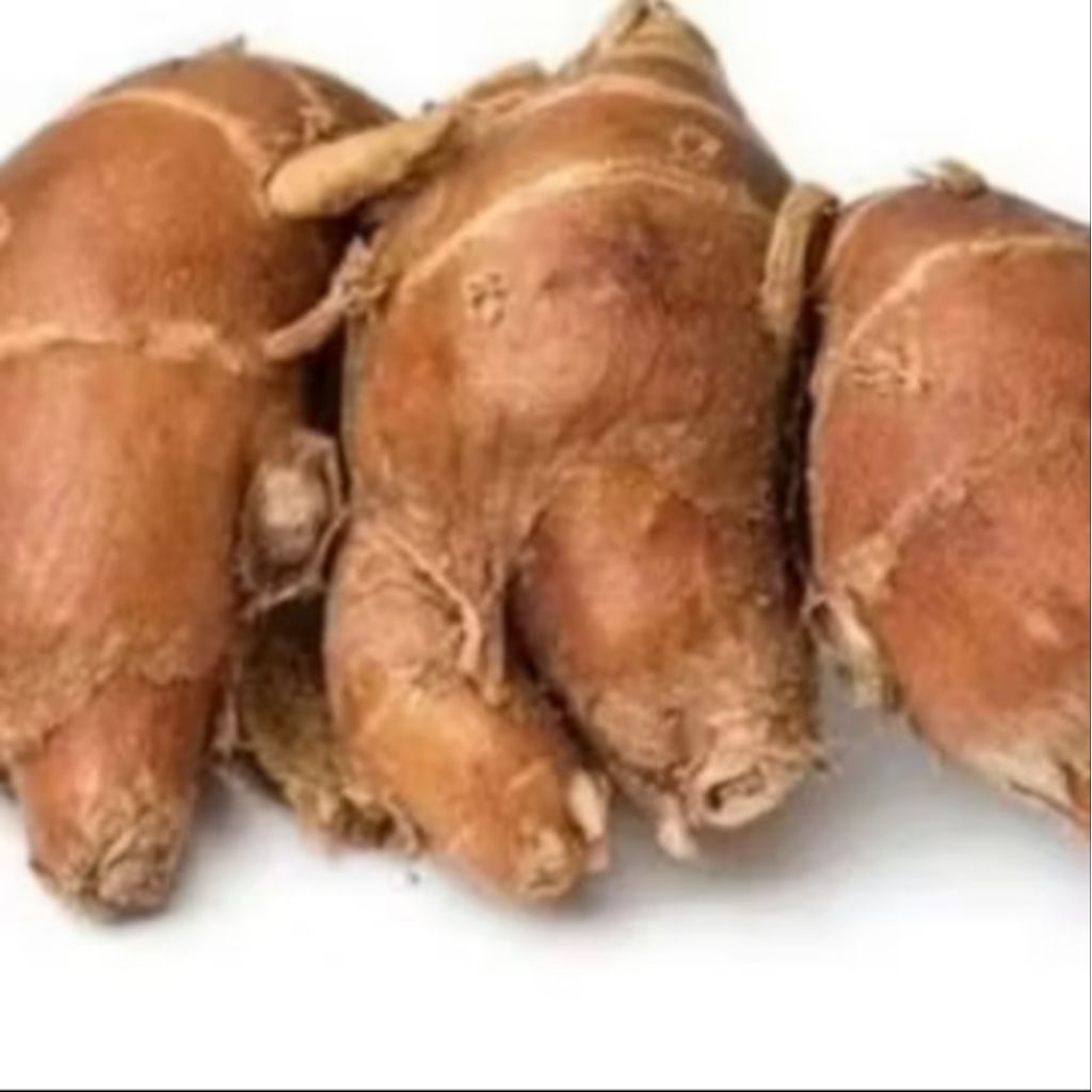 

Kencur 1 bungkus kecil