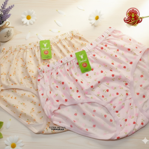 ( 3PCS ) CD Celana Dalam Wanita Yutind Sablon By Golden Nick CD  YUTIND SABLON/BORDIR ORIGINAL