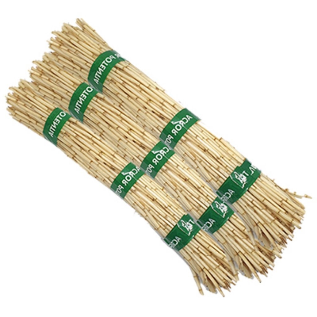 

akar alang alang super segar asli pegunungan berat 500g