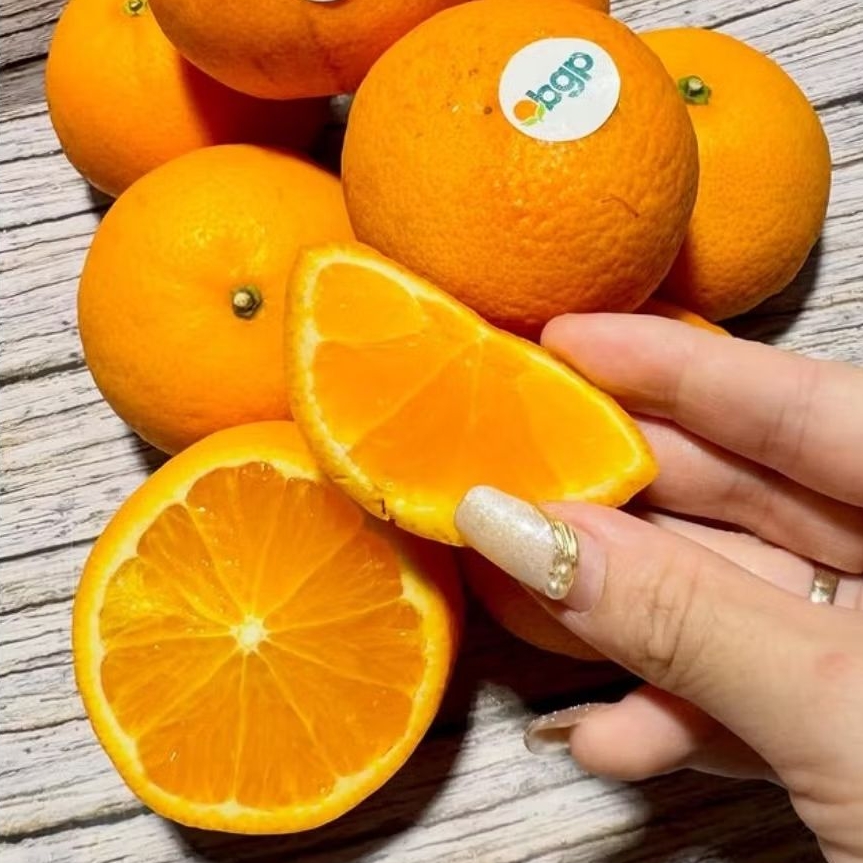 JERUK KINO MANDARIN 1kg