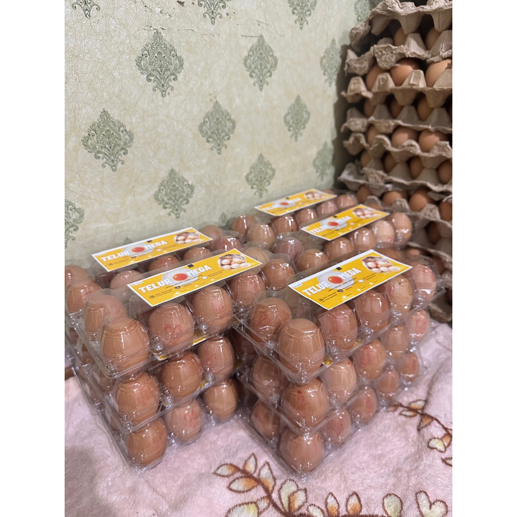 

Telur Omega 3 Grade A (Uk. Besar)