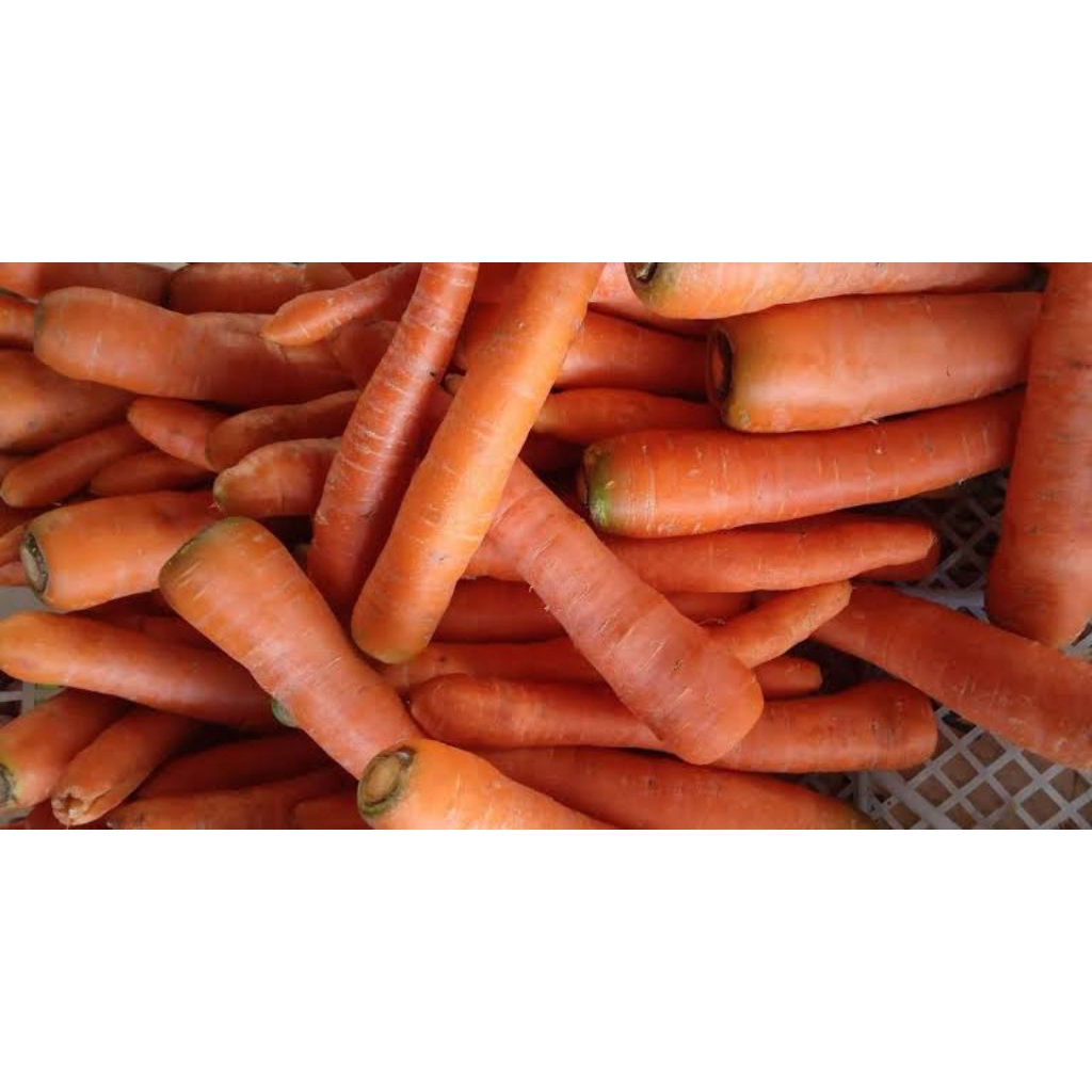 

Wortel Fresh (Sayuran Segar)