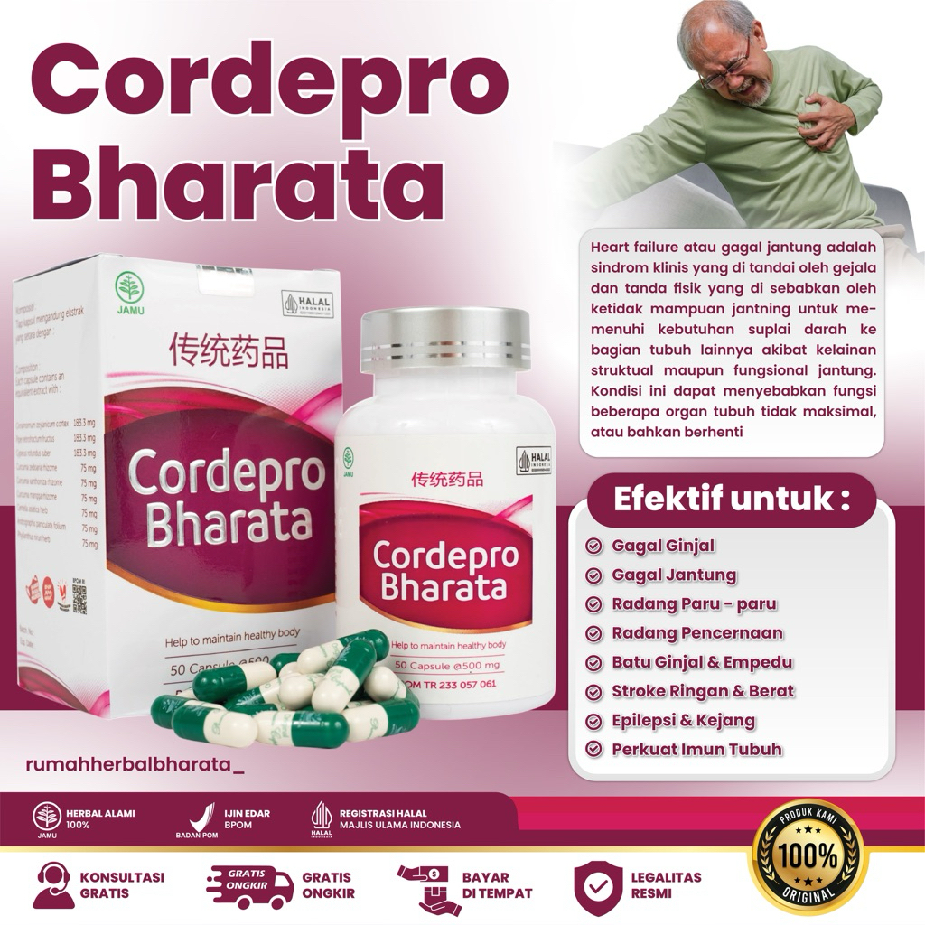 Obat Ginjal Cordepro Bharata Original - Obat Gagal Ginjal Obat Batu Ginjal Batu Empedu Radang Ginjal