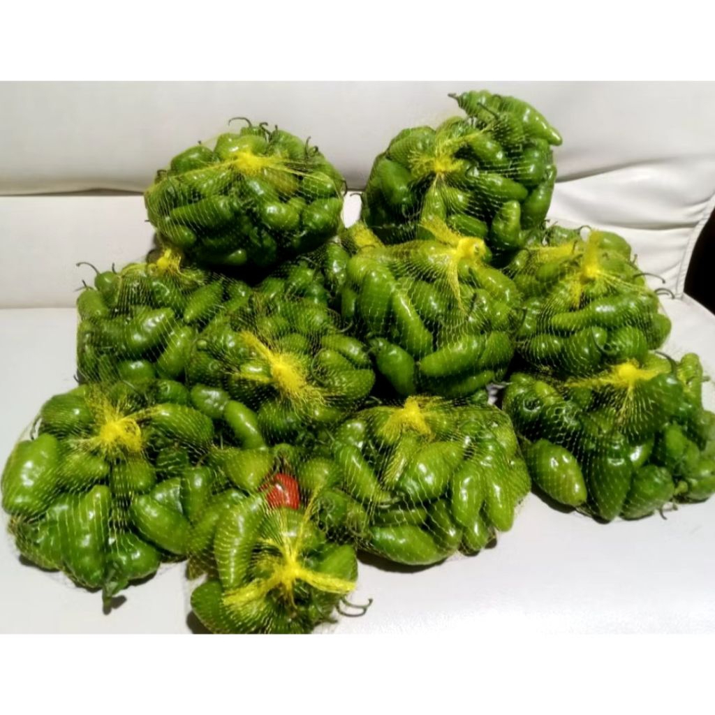 

CABE GENDOT viral premium segar\fresh super pedasss mulai dari 100 gr