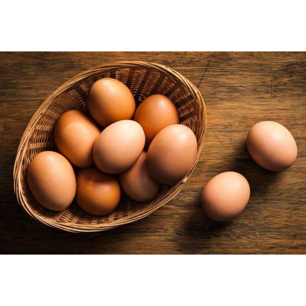 

Telur Ayam Omega 3 || Harga per BUTIR telur