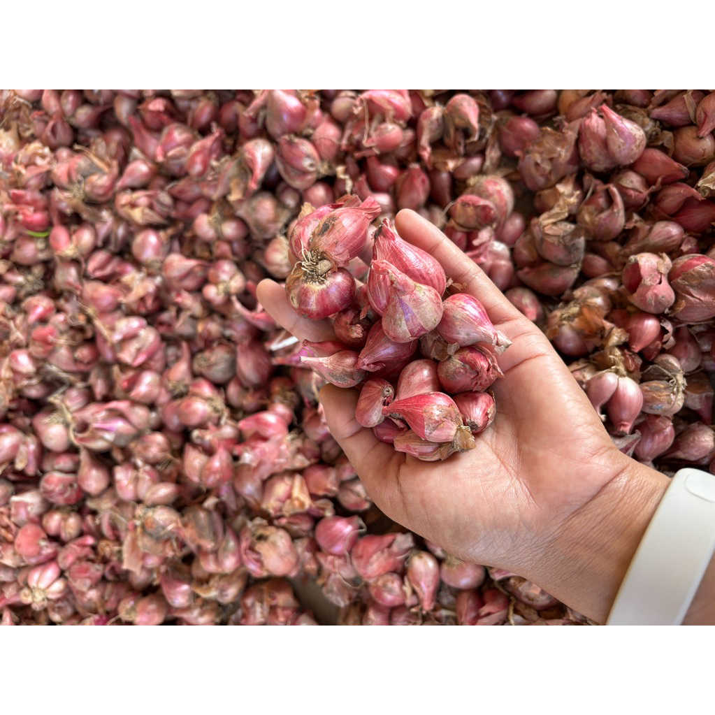 

Bawang Merah Thailand Segar