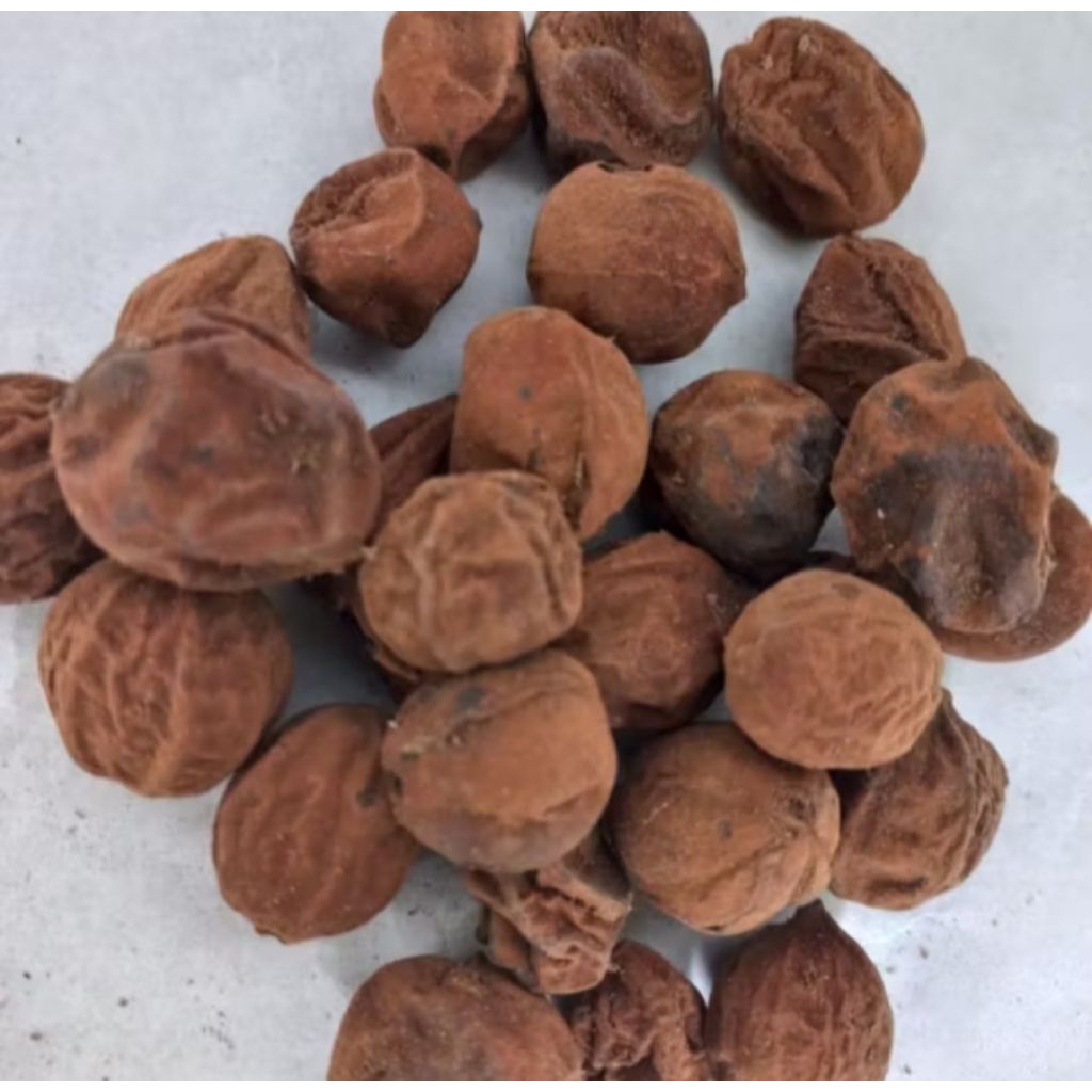 

Biji Josukun - Jo Sukun - 100 gram