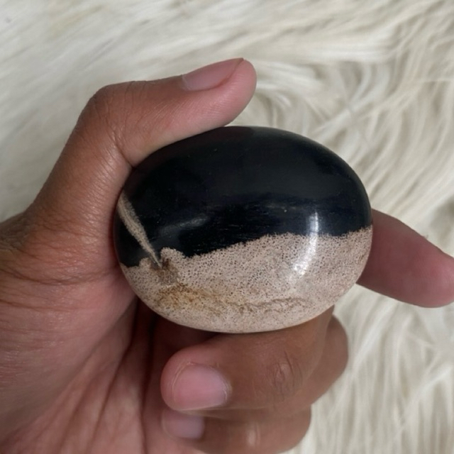 fosil kelapa batu alam premium bentuk palmstone biji pete gemstone palm root fossil A-73