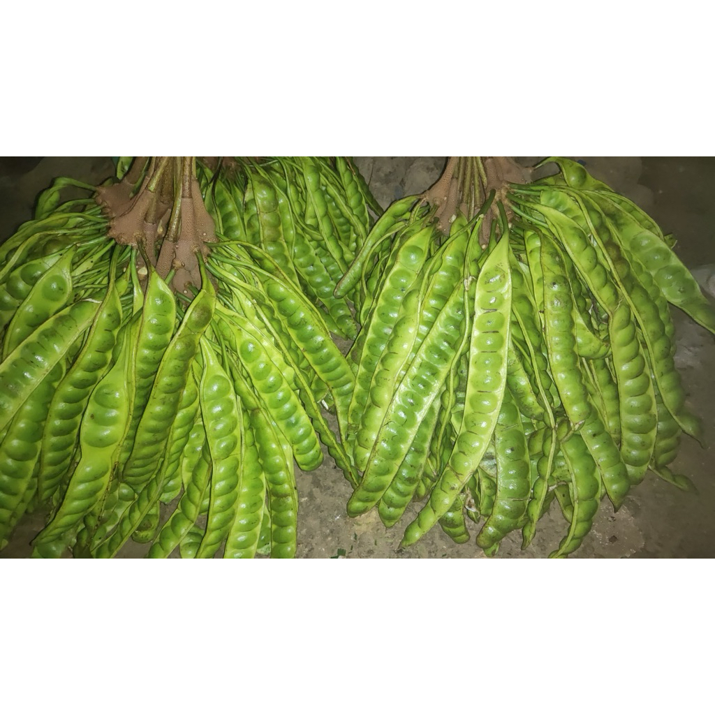 

peteeee tua 25.000 dapet 10