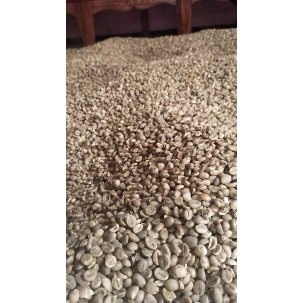 

[Termurah] Biji Kopi Robusta JAVA