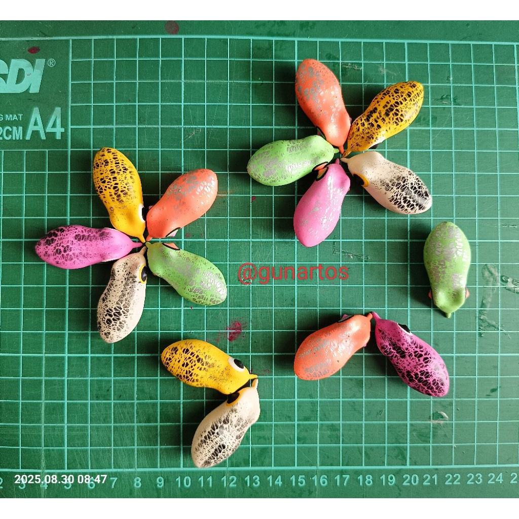 cangkang soft frog 4cm