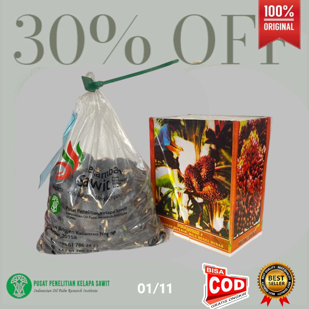 Bibit kecambah PPKS unggul & Bersertifikat