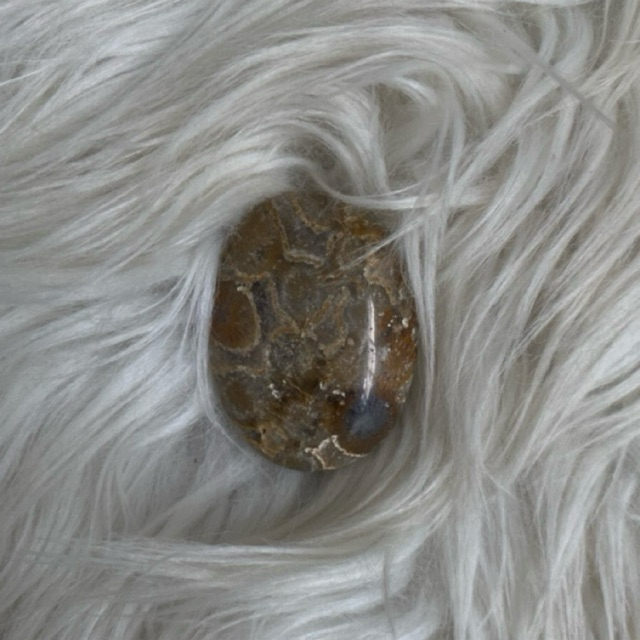 batu alam asli premium palmstone (fosil) biji pete gemstone A-72