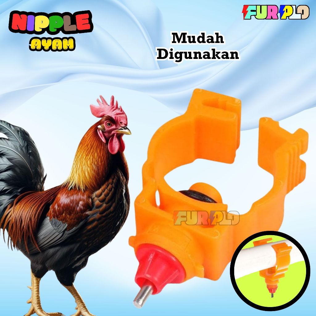 Nipple Ayam Nepel Nipel Nippel Ayam Pedaging Broiler A5 Samping Oranye Furplo