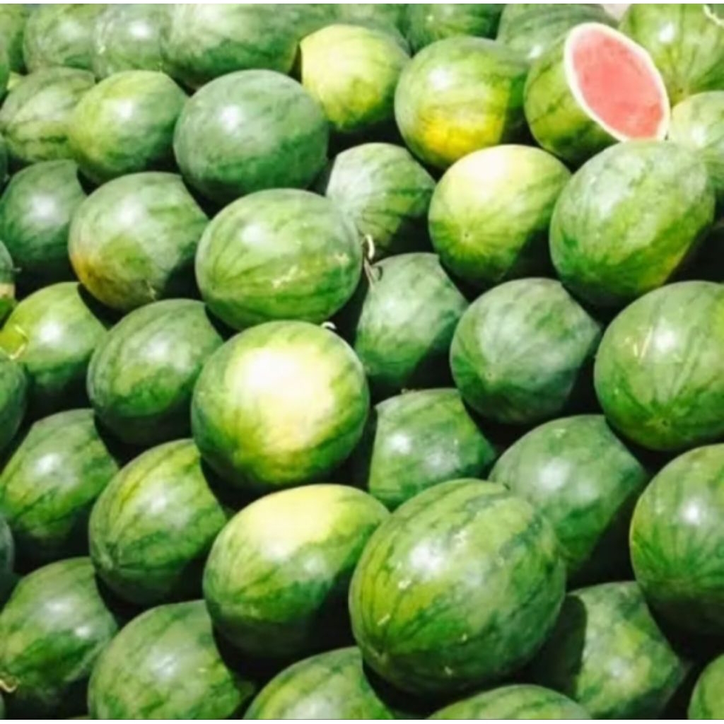 

Buah Semangka 1 Butir fresh