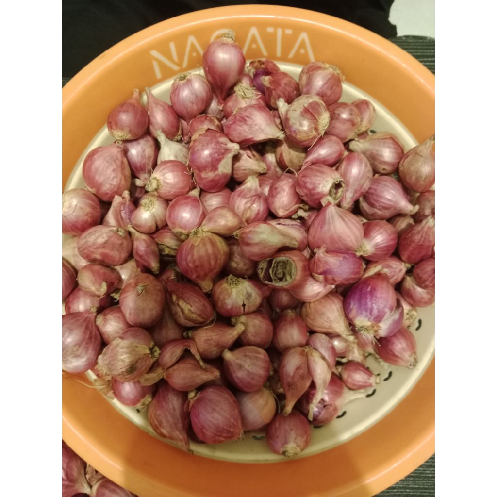 

bawang merah lokal 1 kg