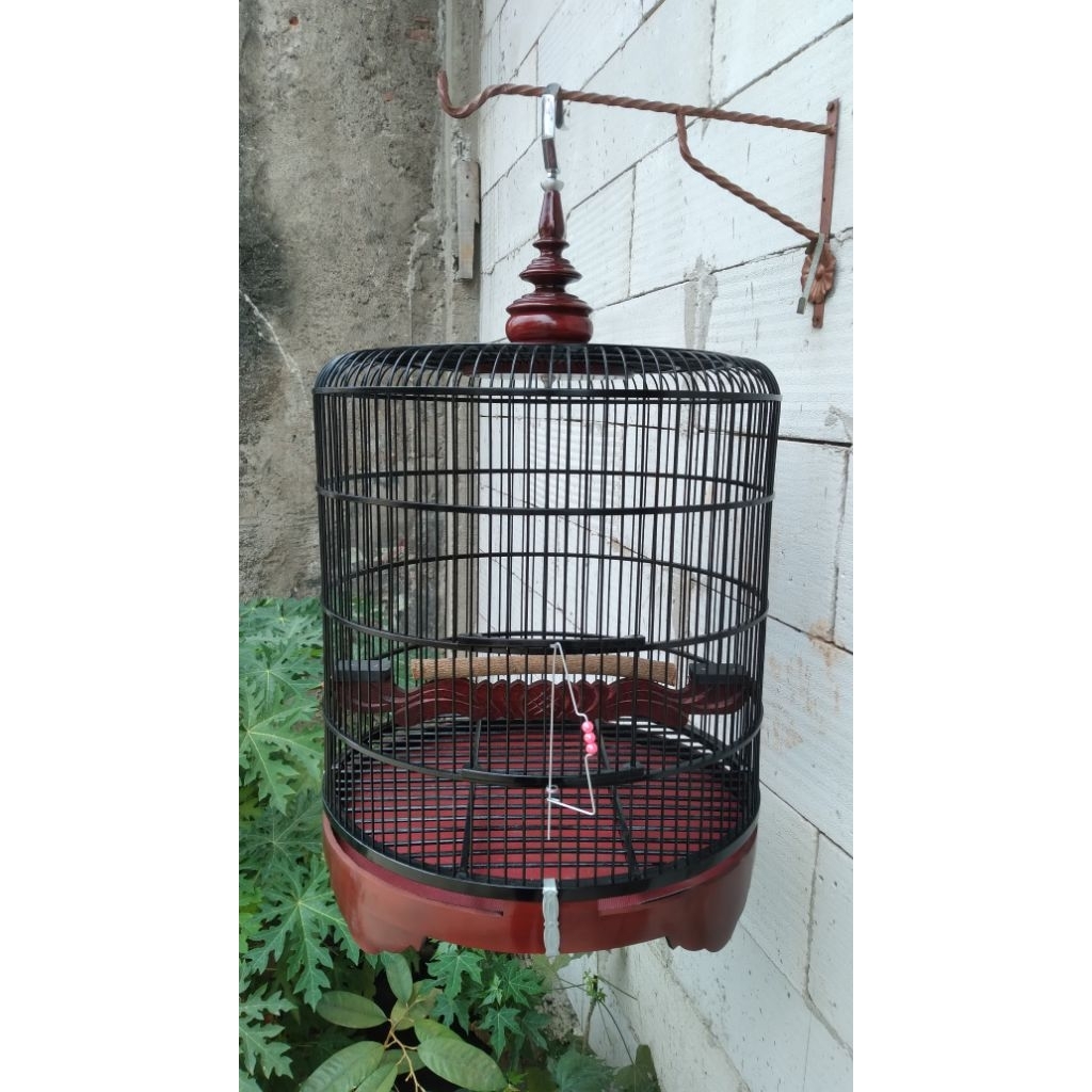 sangkar jemur Tekukur