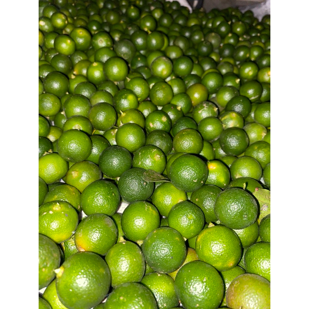 

jeruk songkit banyak manfaat nya