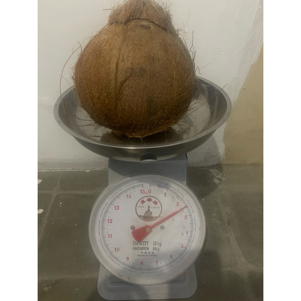 

kelapa Tua untuk Santan Super Besar Berat 2 KG