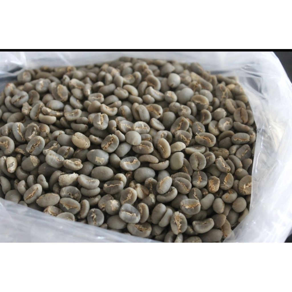 

Kopi Gayo Semi Washed Grean Bean Biji Mentah Premium Kualitas Ekspor 1kg