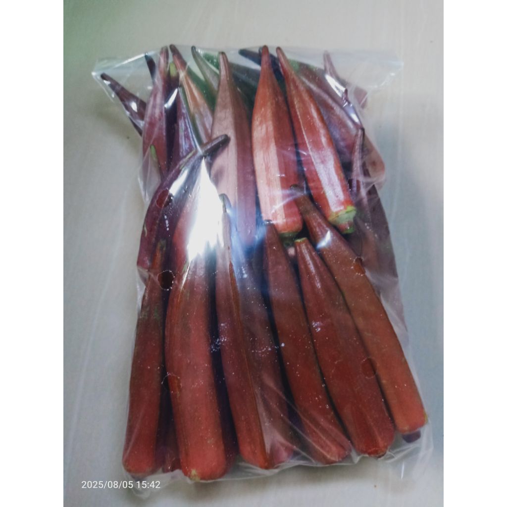 

JUAL OKRA MERAH FRESH~Berat;1 Kg,500 gr,200 gr~Tonase Panen Sedang~SAYURAN~KELOLA BOGA MART