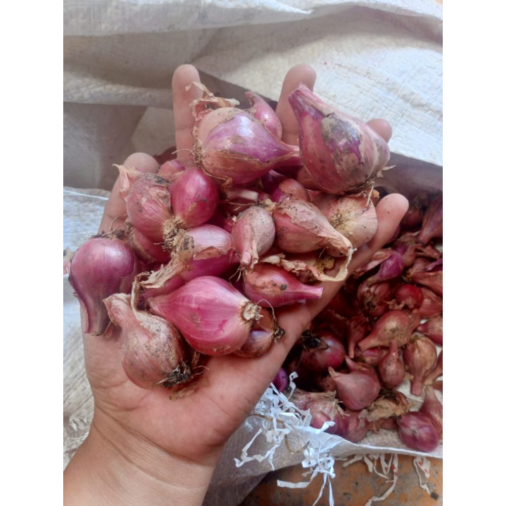 

Bawang Merah Termurah 500g/1kg tanggung campur besar