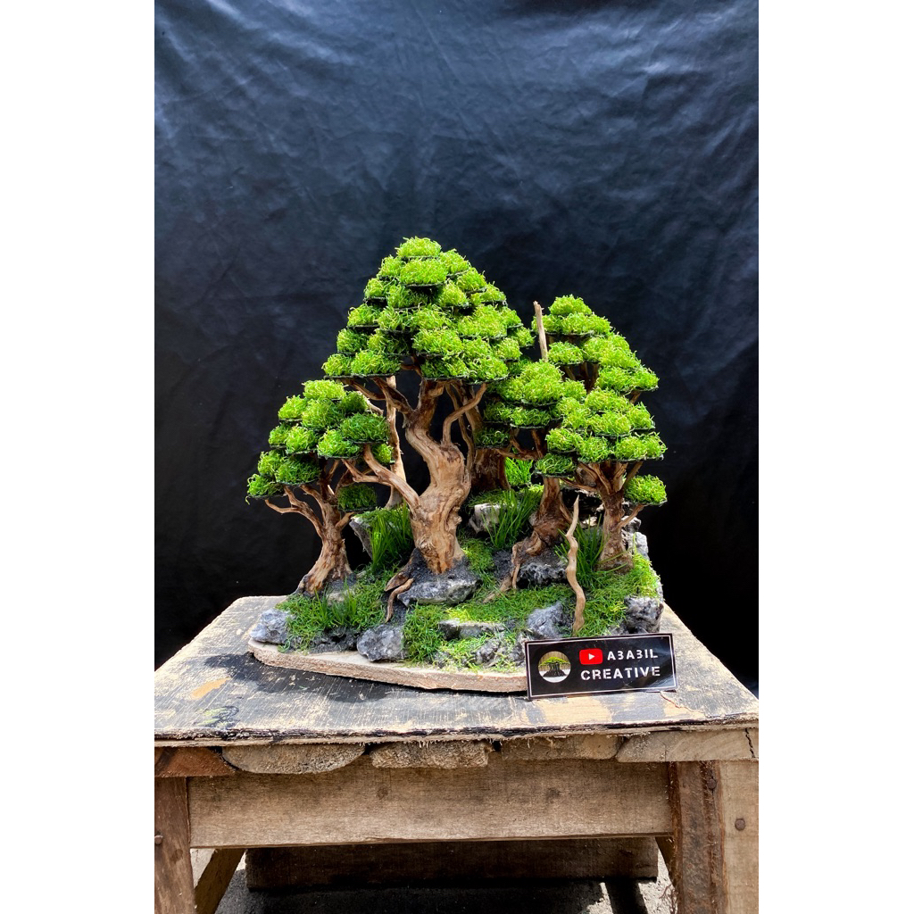Bonsai Aquascape | Hiasan Aquarium | Hardscape bonsai