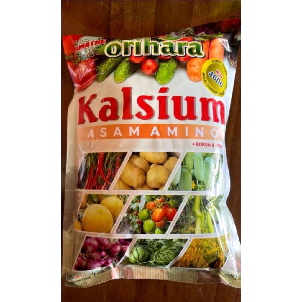 orihara kalsium asam amino