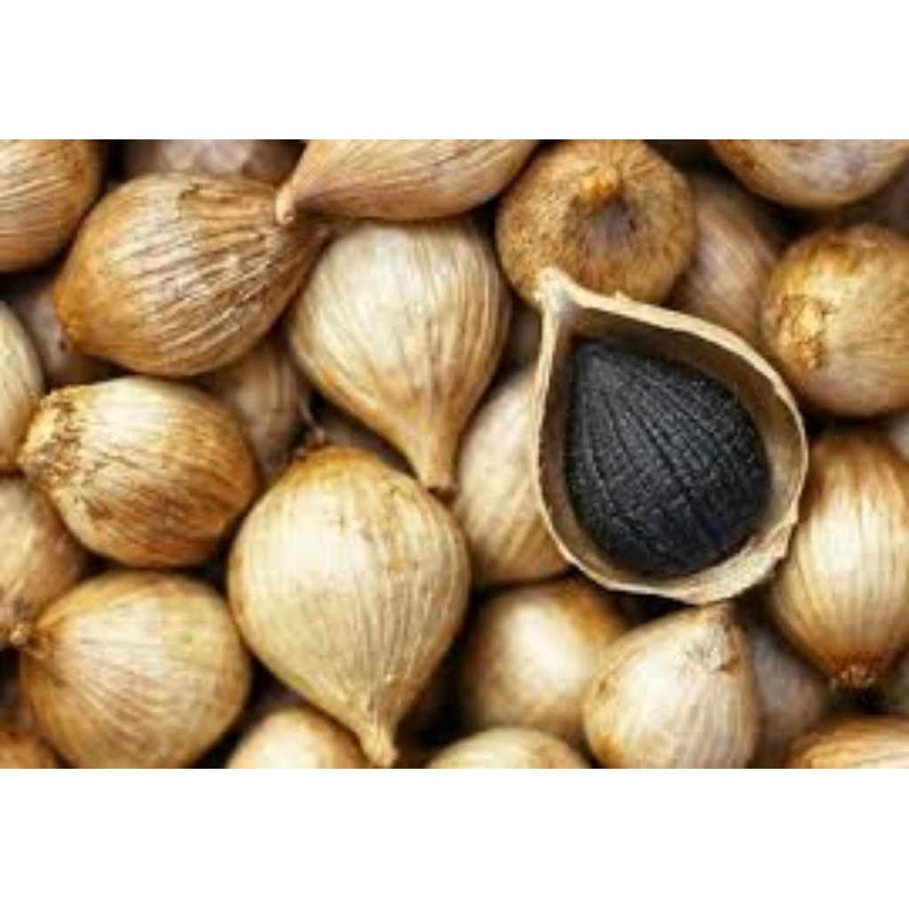 

Black Garlic Murah dan Enak