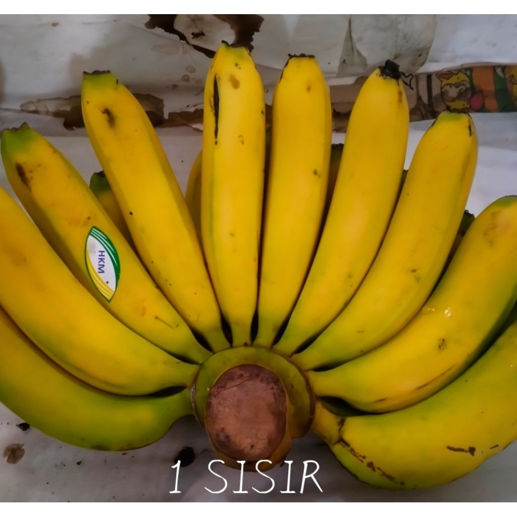 

Pisang Ambon 1 Sisir Termurah