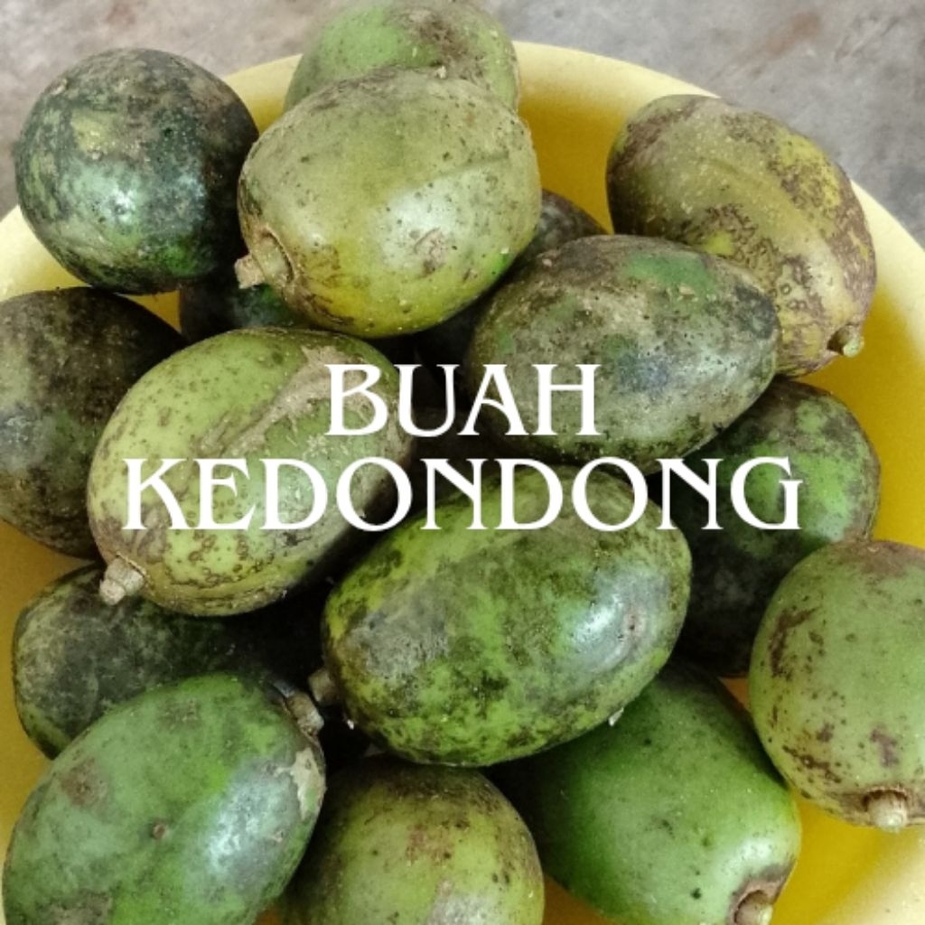 

Redy stok buah kedondong segar petik langsung 2 kg