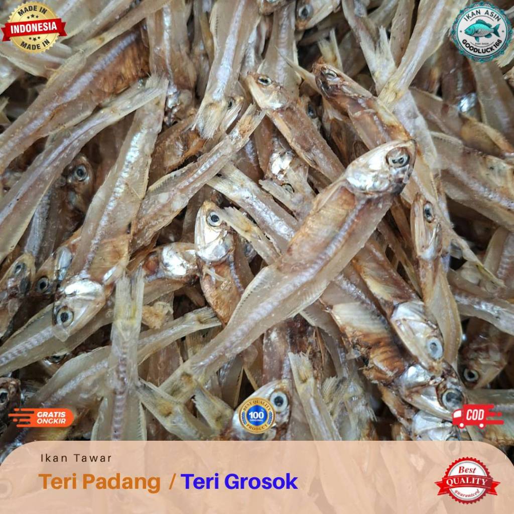 

Ikan Teri Tawar Padang / Teri Grosok Kualitas Premium 250gram, 500gram, 1kg