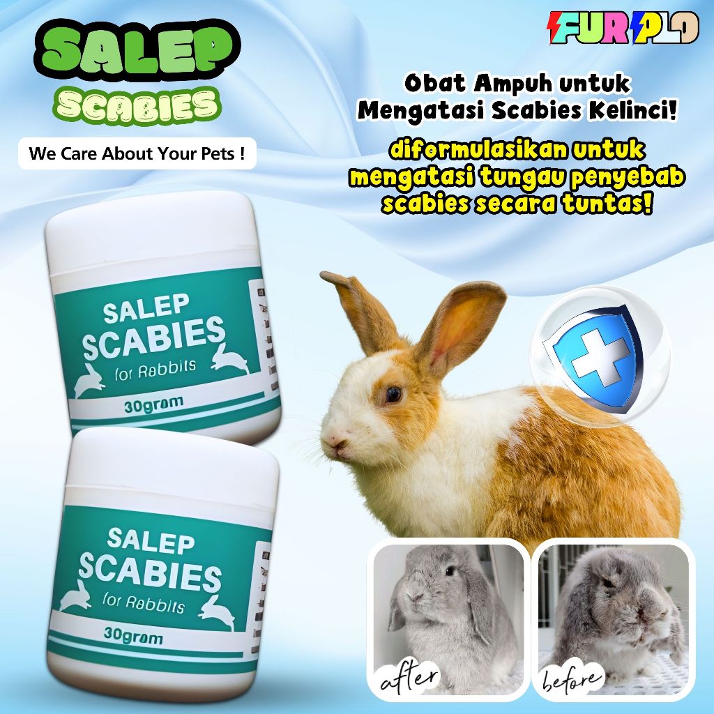 Salep kelinci anti scabies salep ampuh mengatasi tungau scabies ampuh furplo