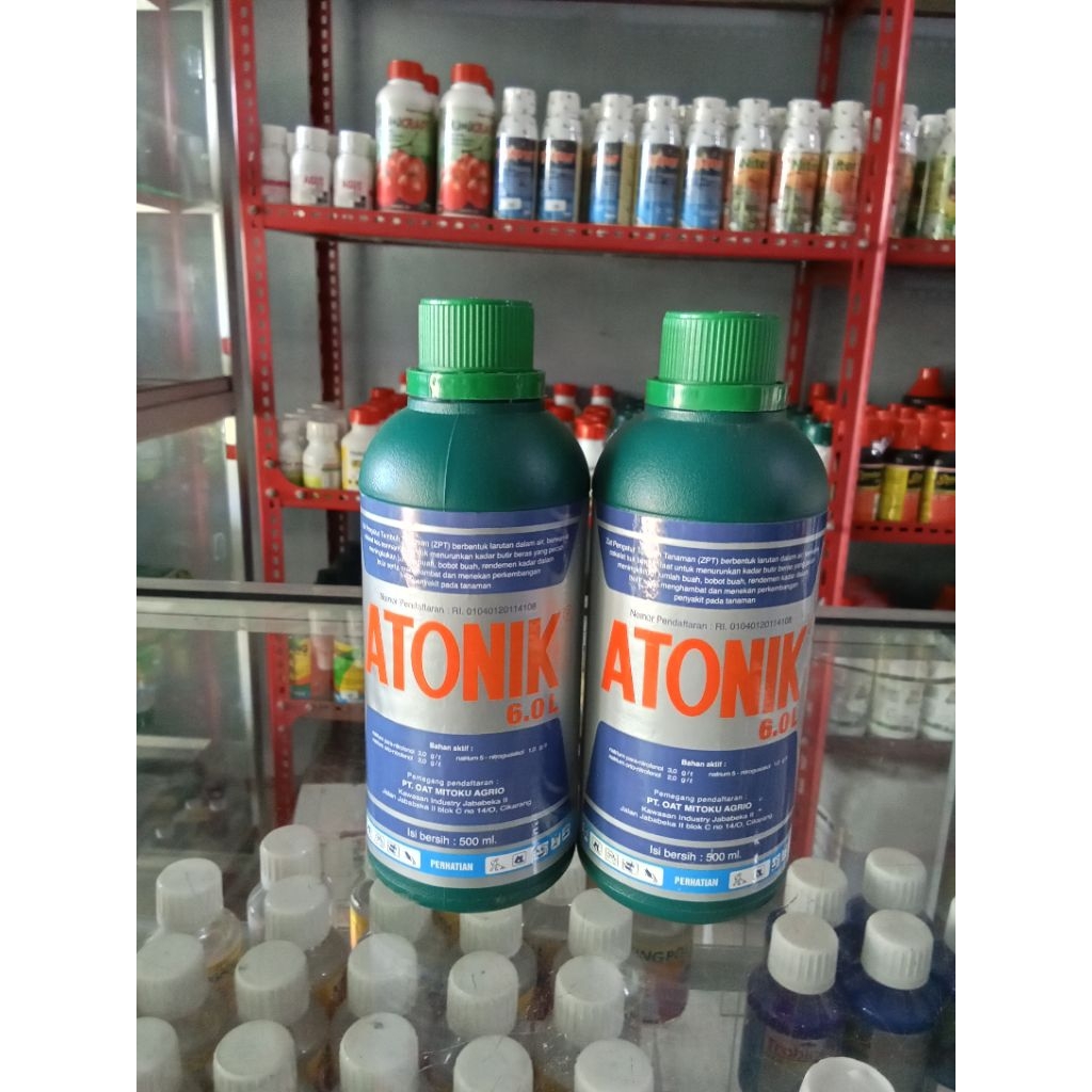 ATONIK (ZPT) 500ML