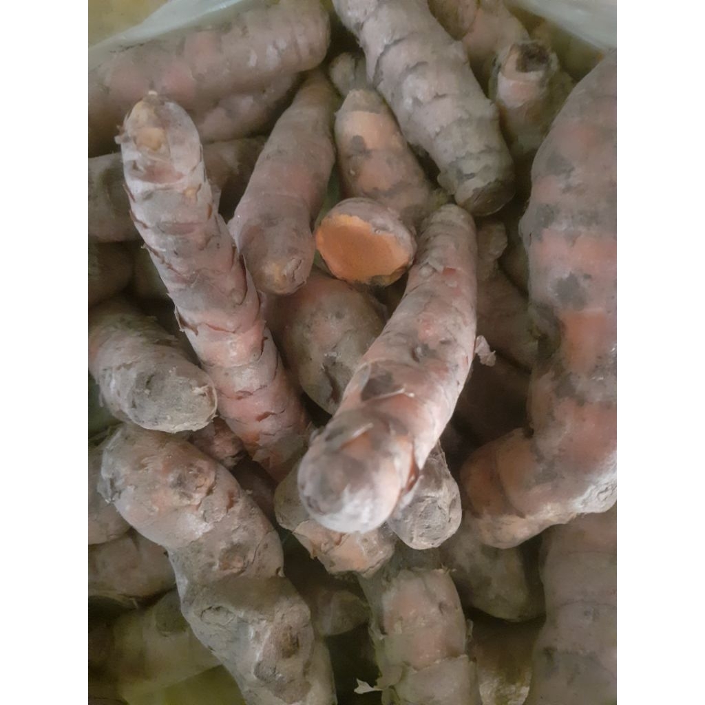 

kunyit srgar Rp 10000 - Rp 19 000