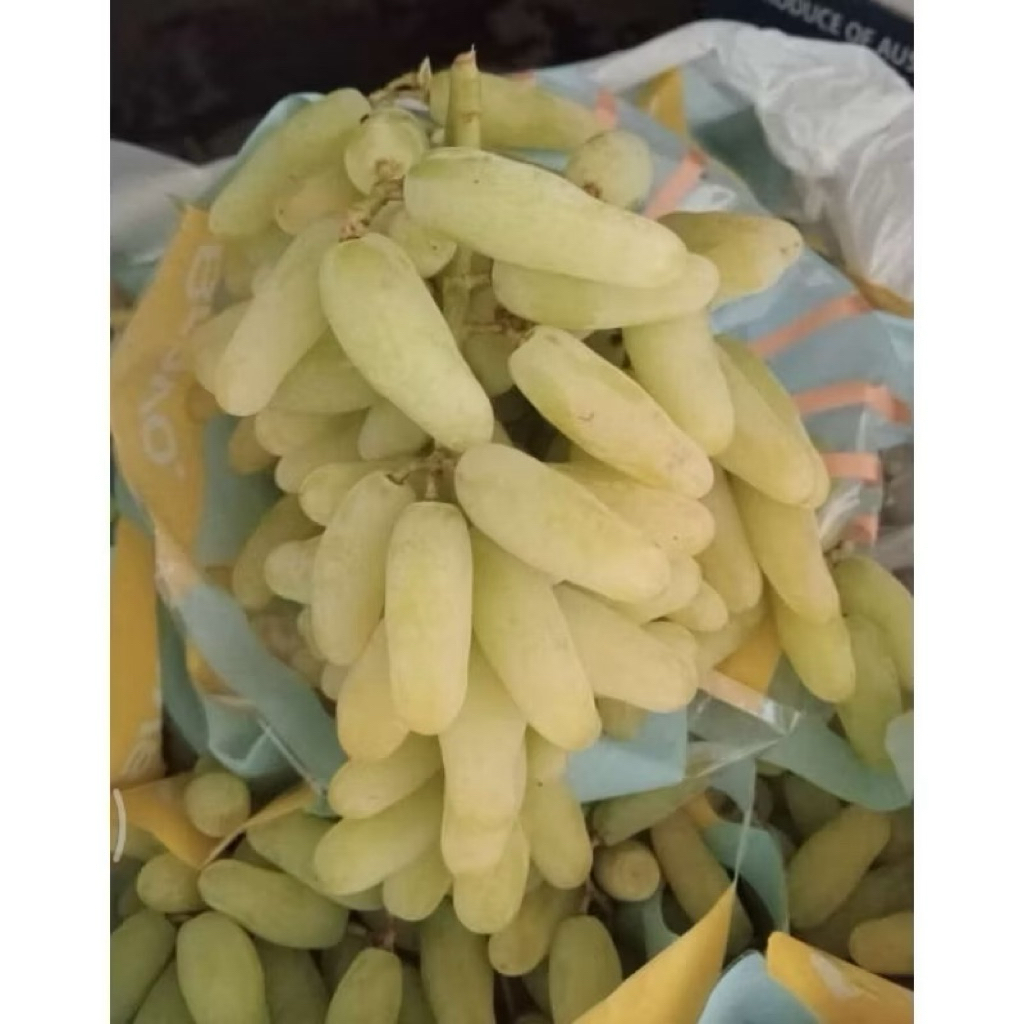 

Anggur Jari Thomson 1kg