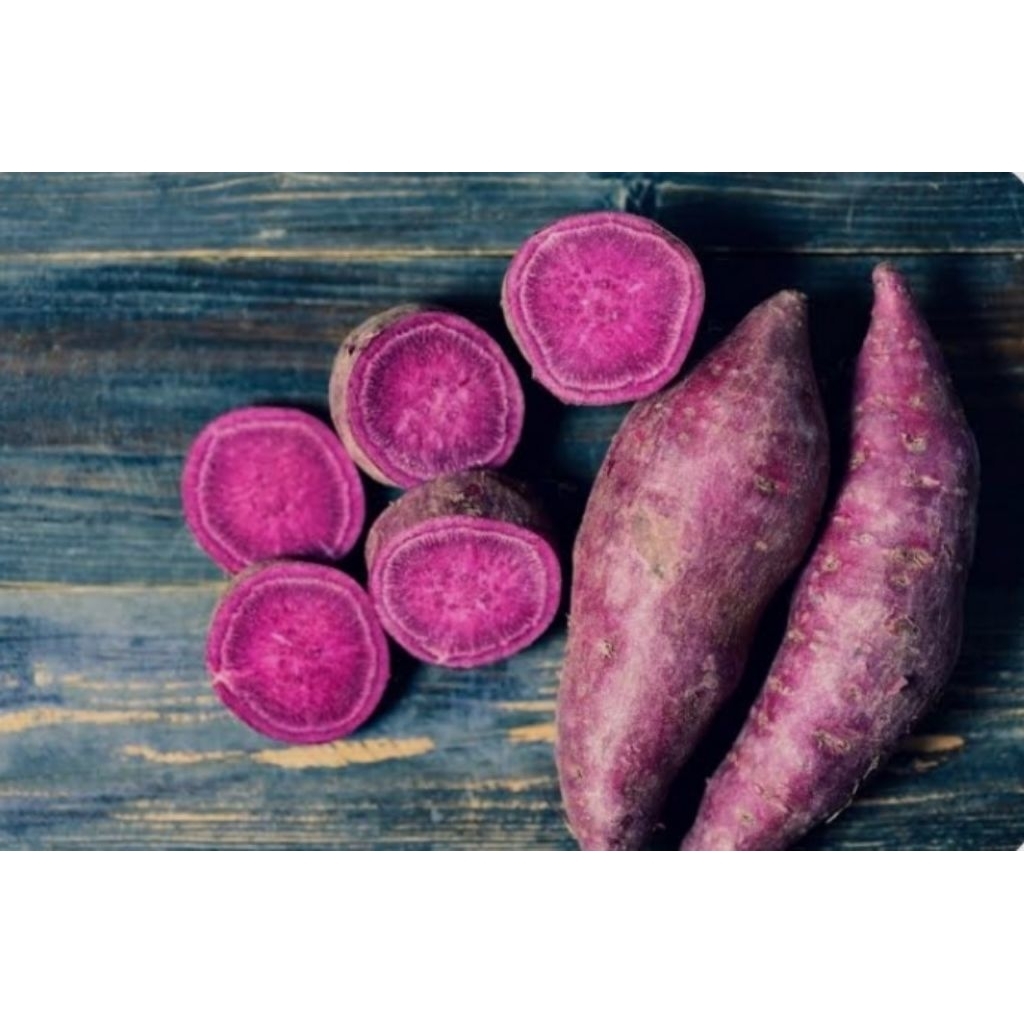 

ubi ungu super fres murah 1kg