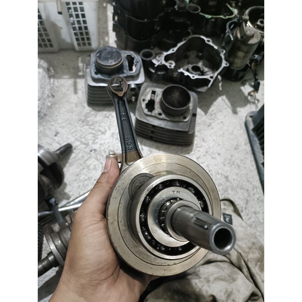 Askruk tiger revo tahun muda original copotan