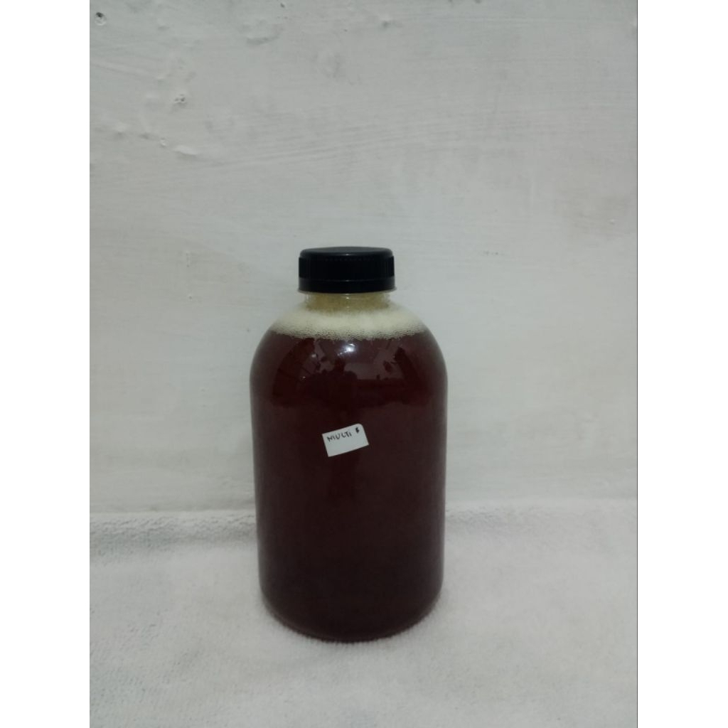 

Madu Nektar Multi Flora Coklat 1kg Asli RAW Tanpa Campuran dan olah