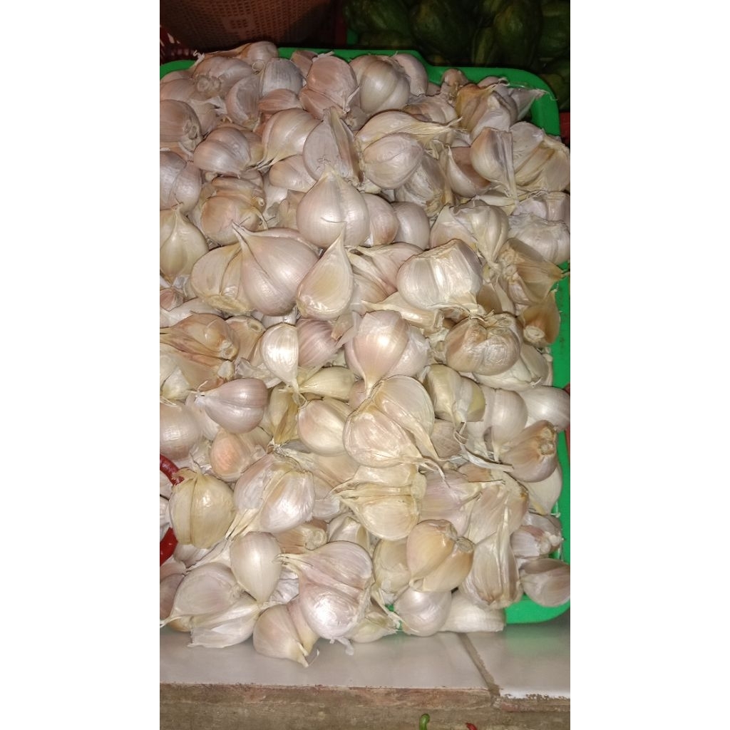 

bawang putih cating
