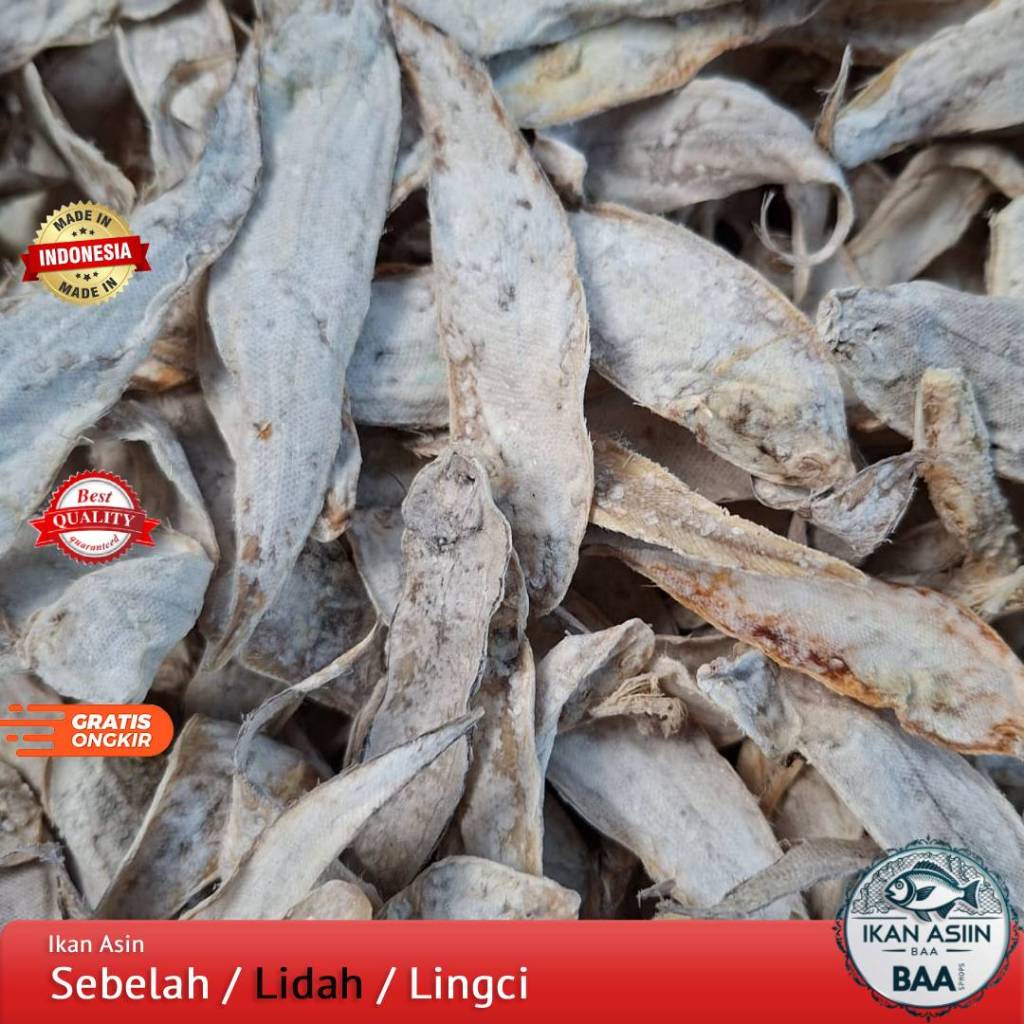 

Ikan Asin Sebelah / Lidah / Lingci Kecil Tipis Kualitas Super 250gram, 500gram, 1kg