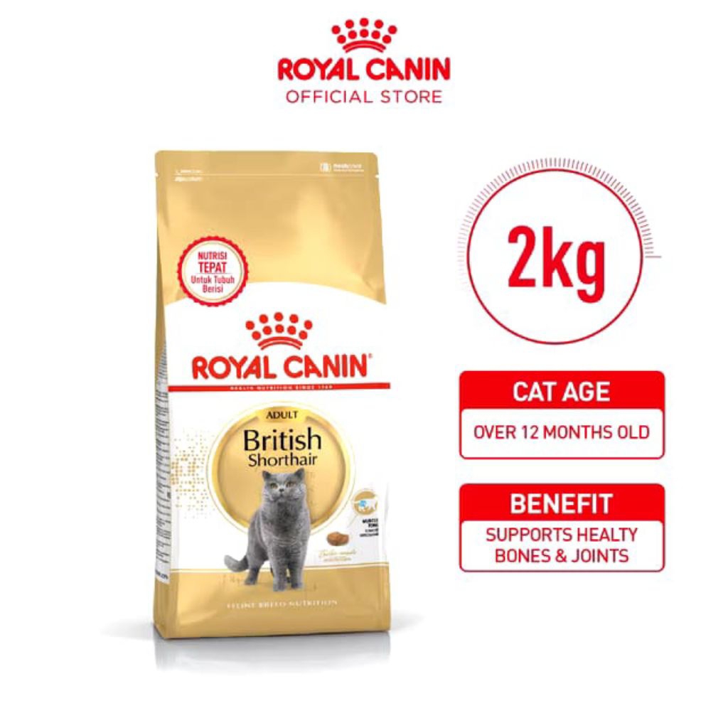 Riyal canin British shorthair (2kg) Dry makanan kucing dewasa - feline breed Nutrition