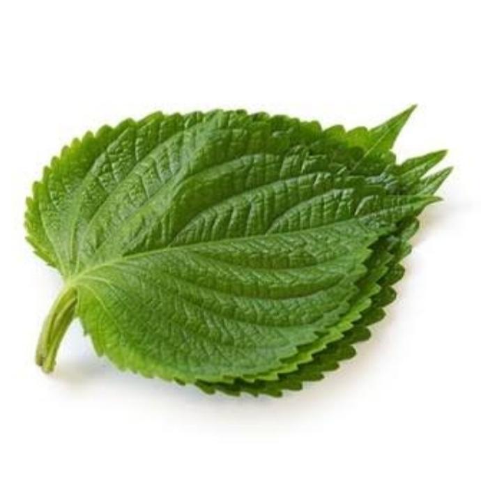 

ORDERAN DAUN BUNGKUS